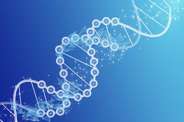 遵义DNA亲子鉴定准确率多高？血型亲子鉴定靠谱吗？ 